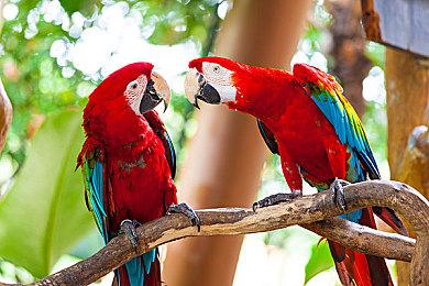 Rocksteady《蝙蝠侠》新作虚幻5打造 还登下一代主机